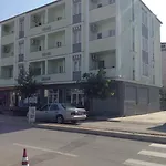 Center * Velipojë